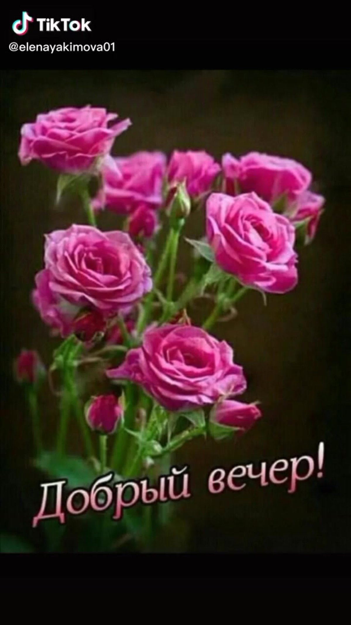 Добрый вечер цветы