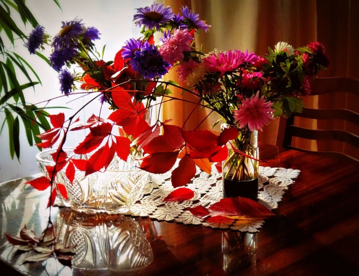 Осенние цветы вечером