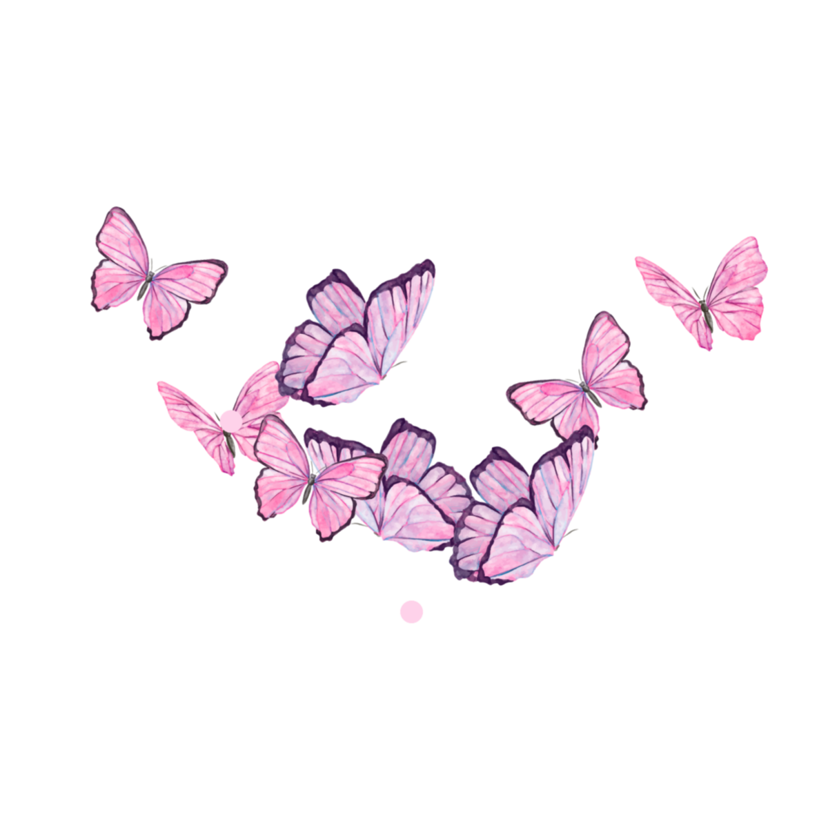 Сине белая бабочка