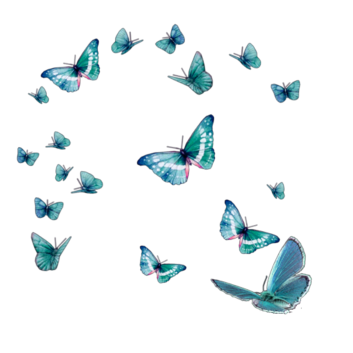 Бабочки летают