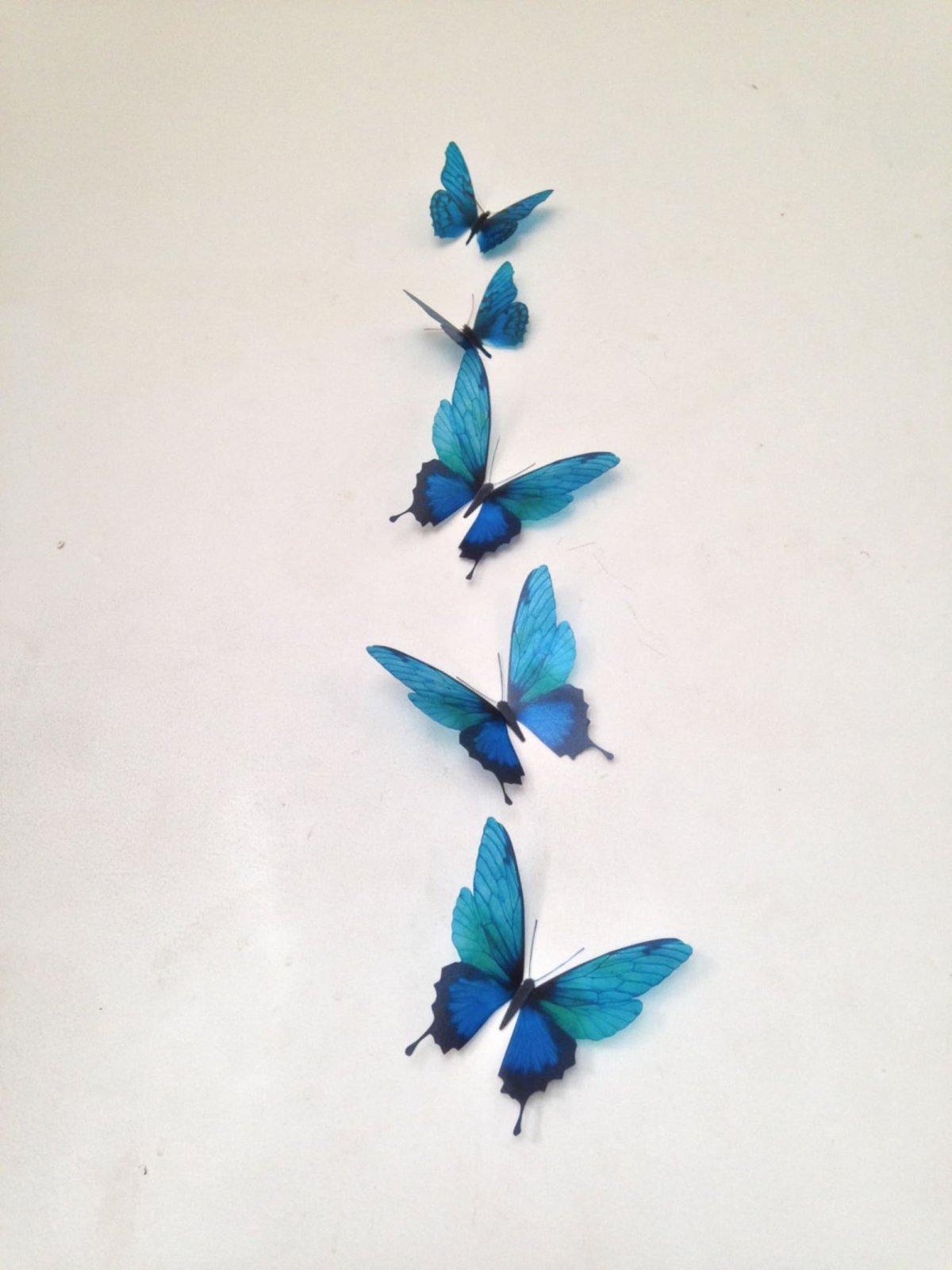 Стайка бабочек на прозрачном фоне