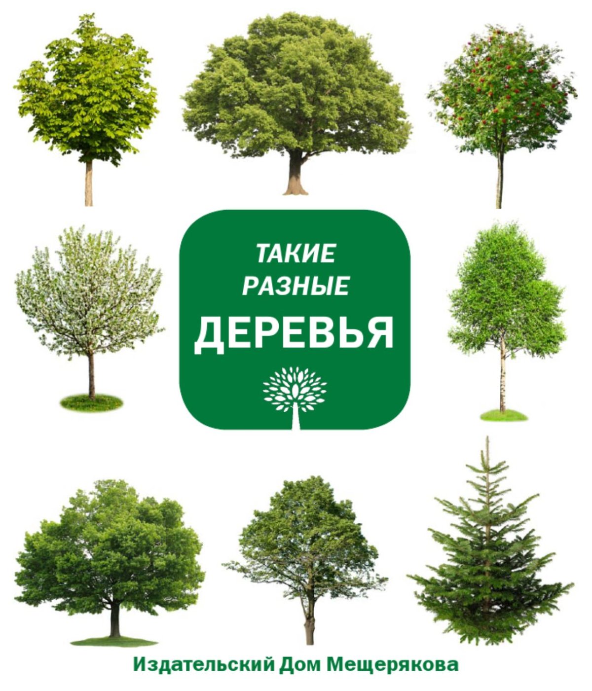 Обложка дерево