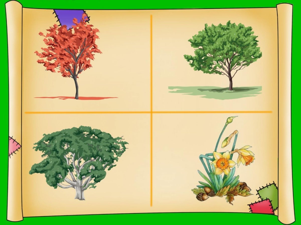 Что лишнее деревья