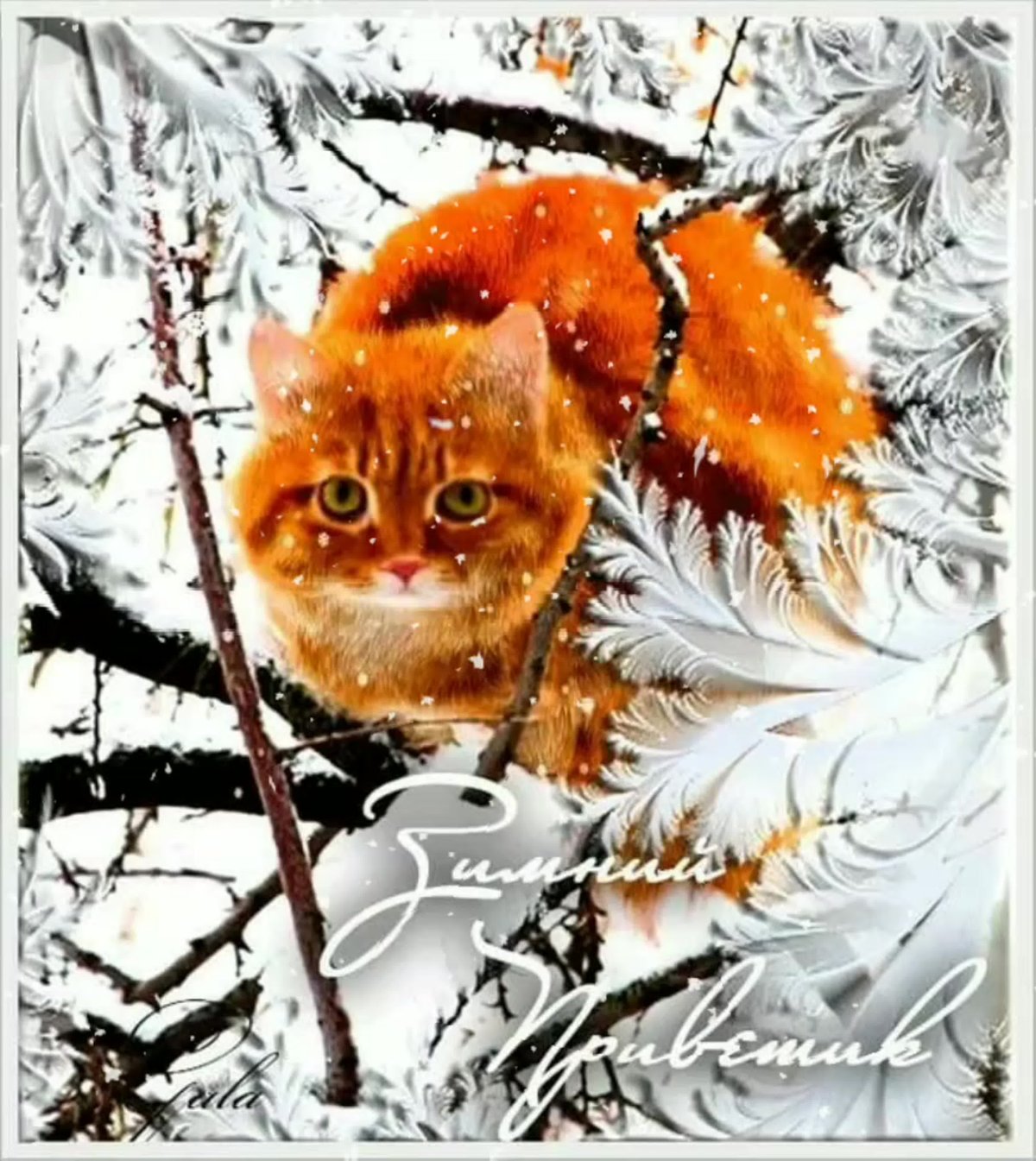 Добрый день зима