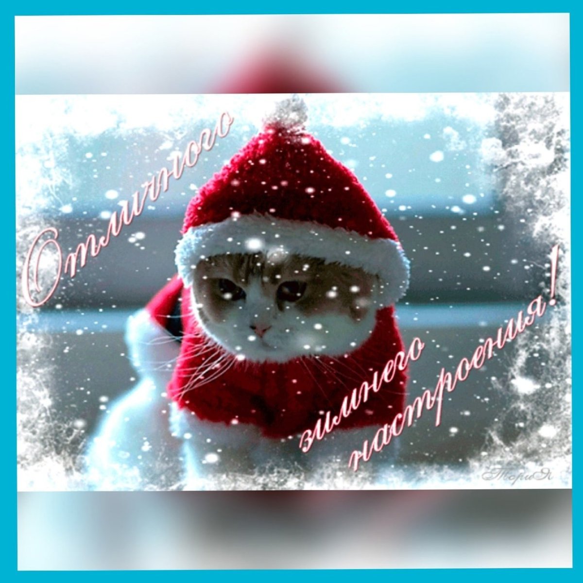 Винтер Сноумен Винтер