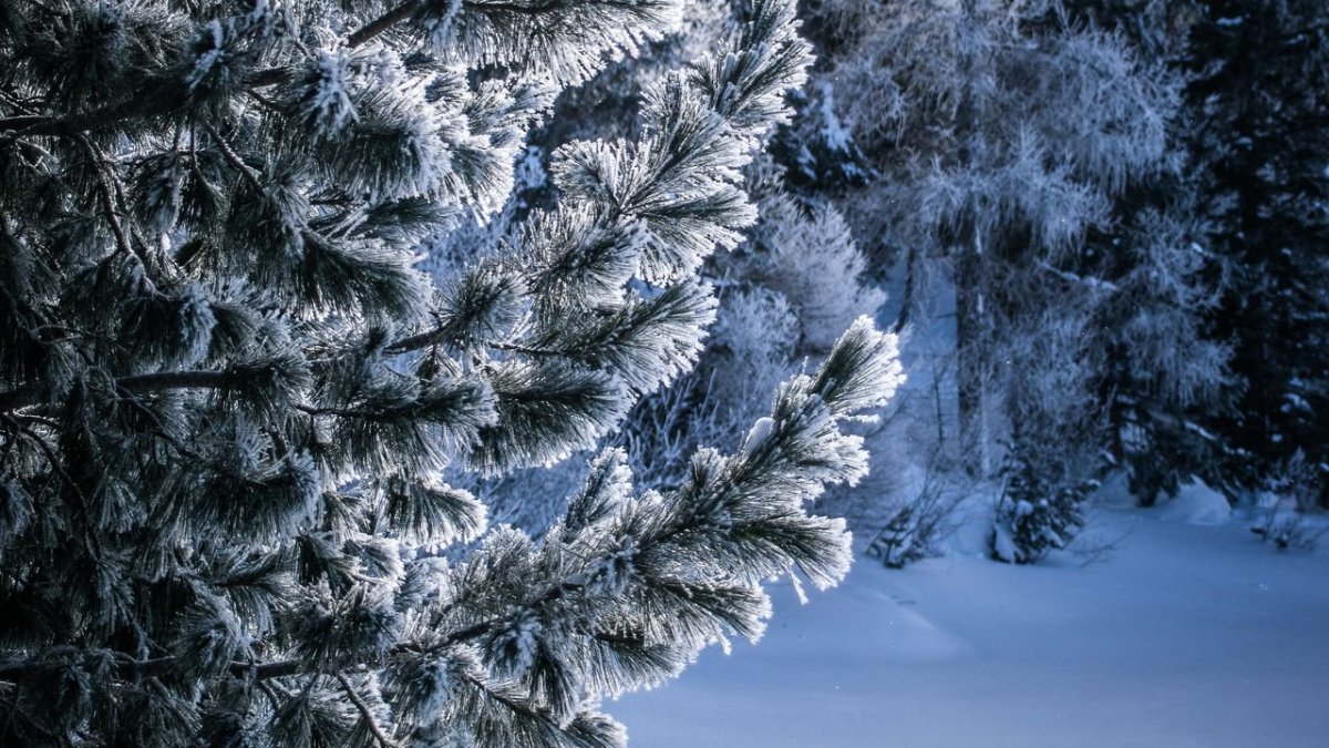 Красивые зимние обои