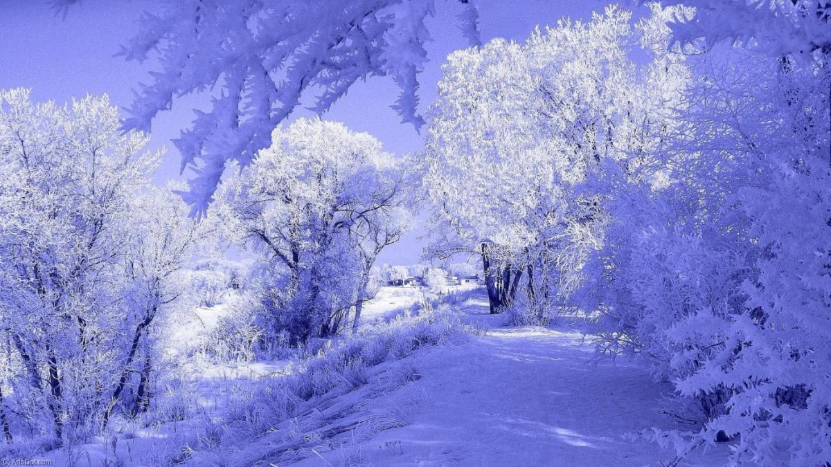 Картинки на зимнюю тему