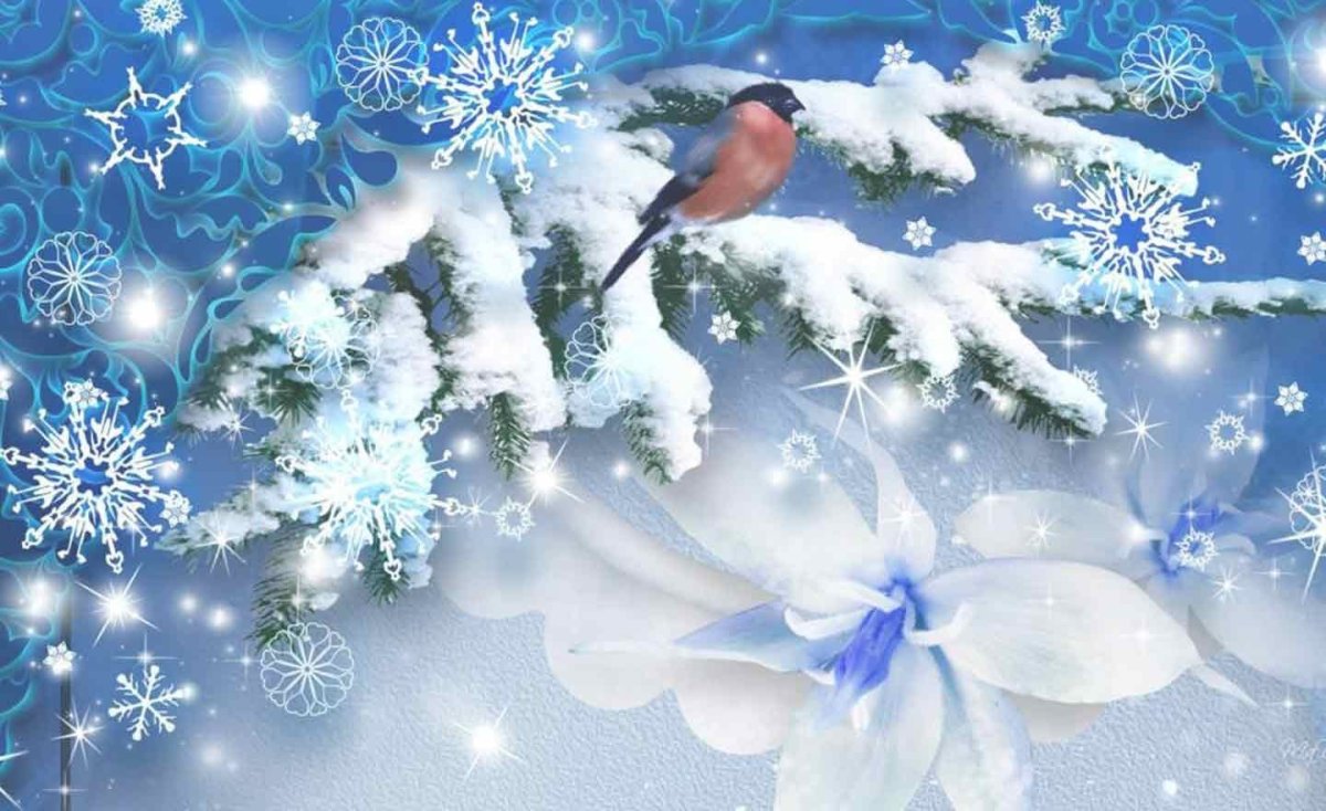 Красивые зимние открытки