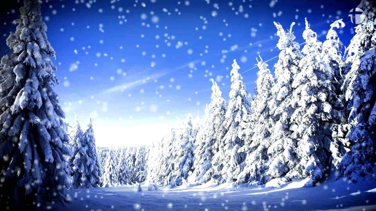 Новогодняя Снежинка