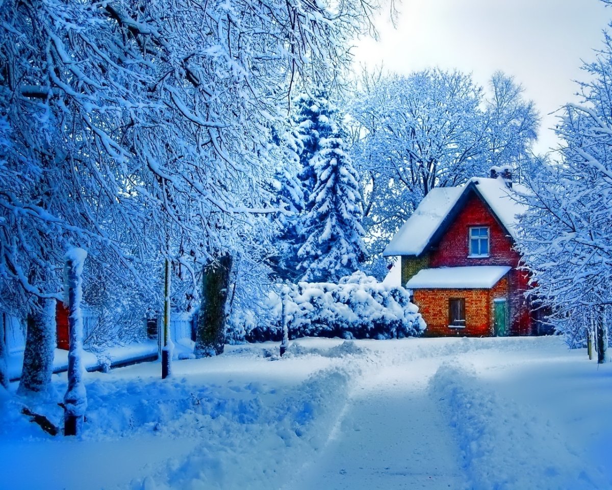 Снеговик и новый год