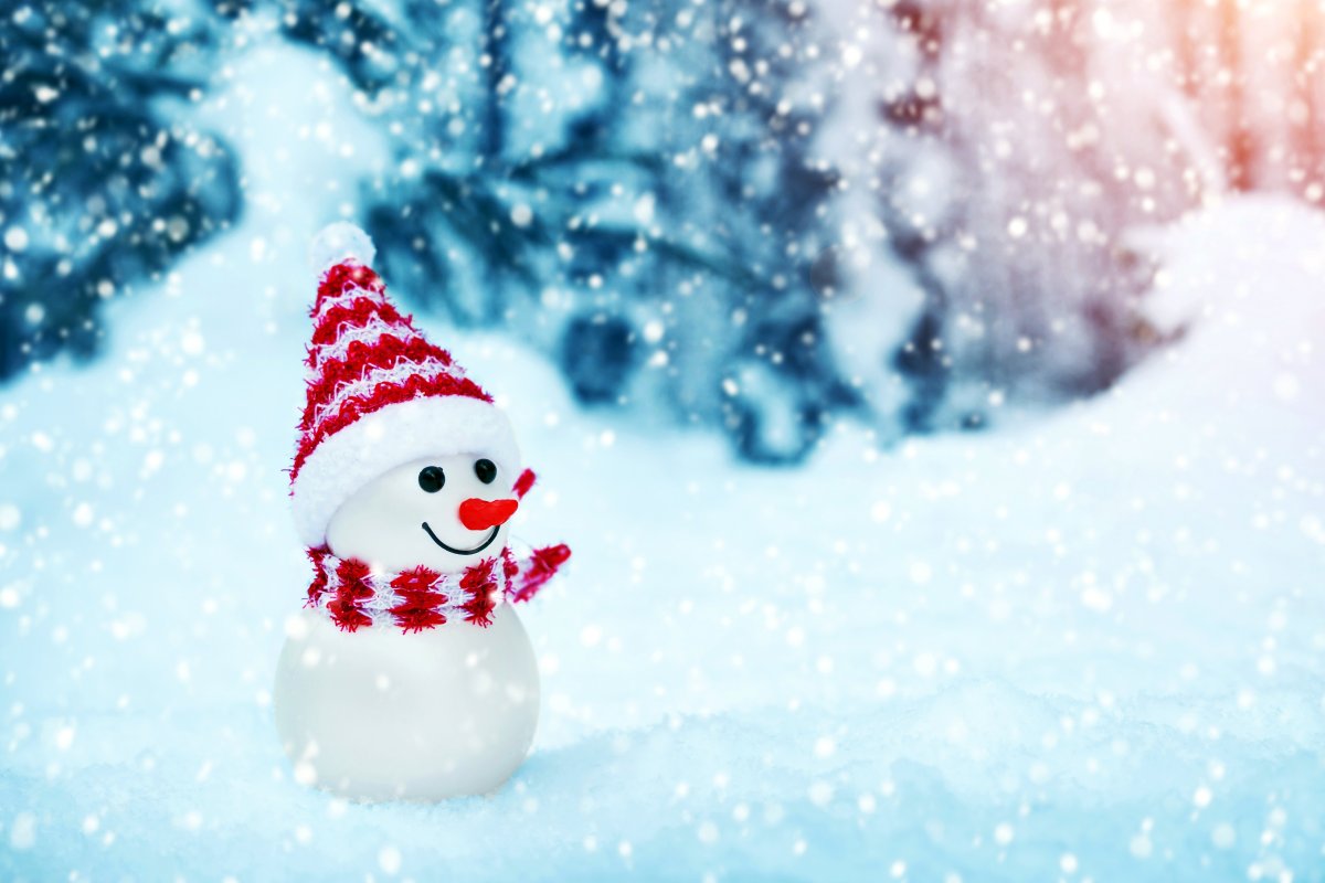 Новый год в лесу