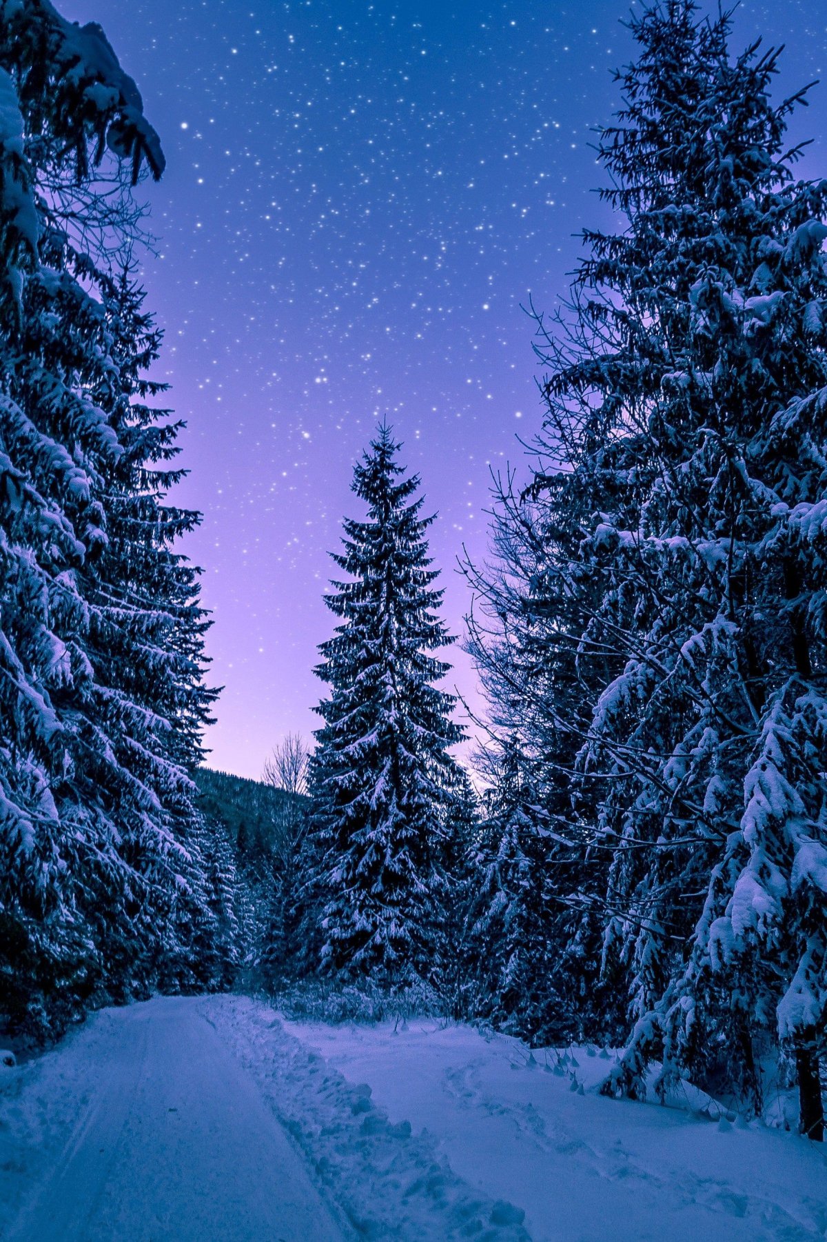 Винтер Сноумен Винтер