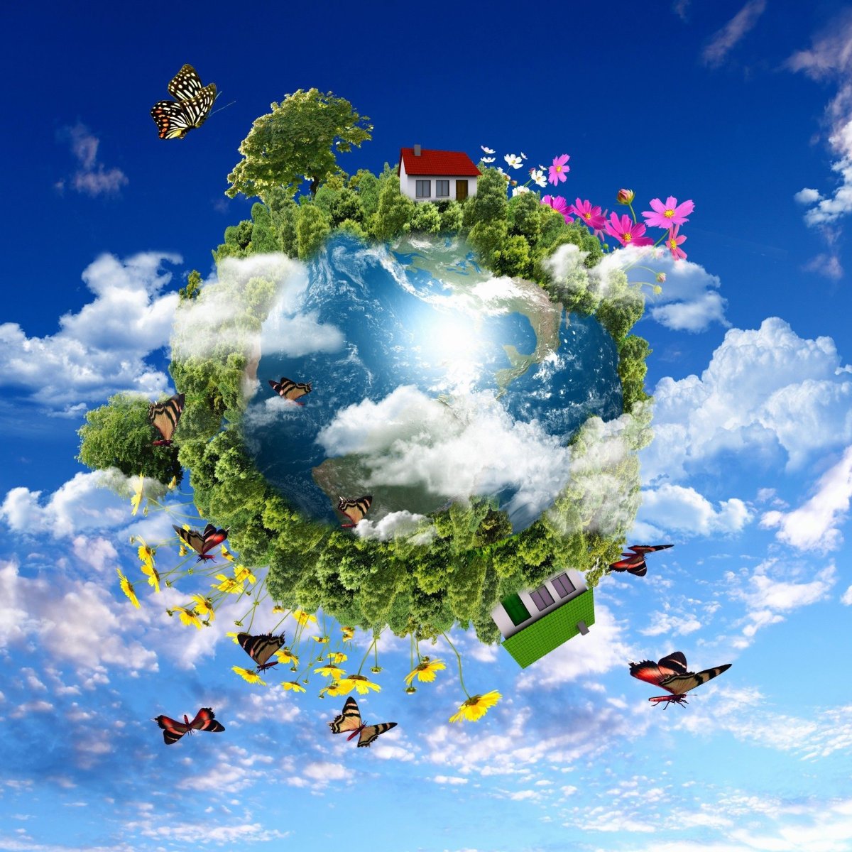 Планета земля поделена на цветущую и засыхающую