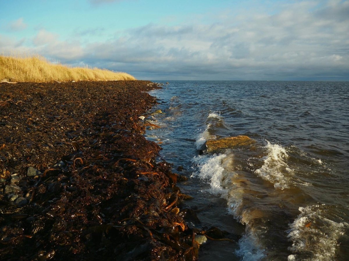 Белое море Кольский полуостров