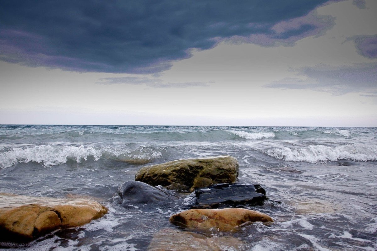 Архангельск берег белого моря