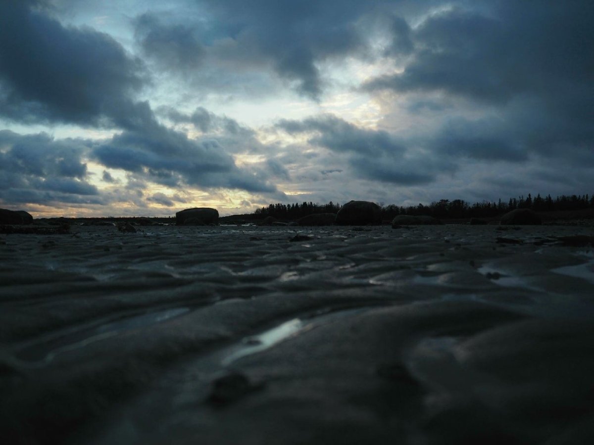 Южный берег белого моря