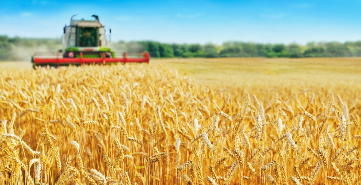 Отечественное АПК