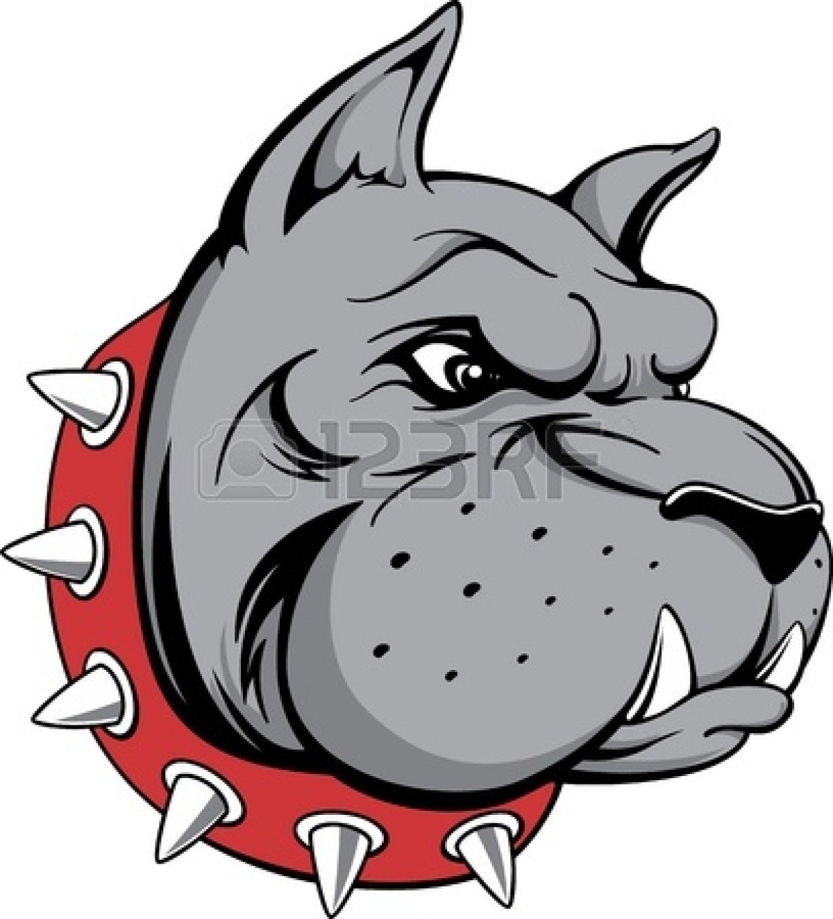 Бульдог с шипами рисунок