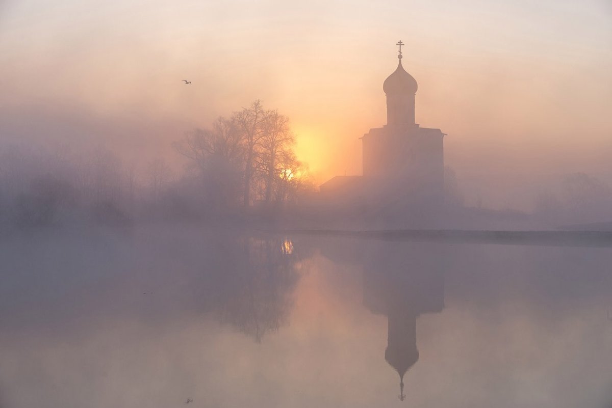 Храм Покрова на Нерли туман