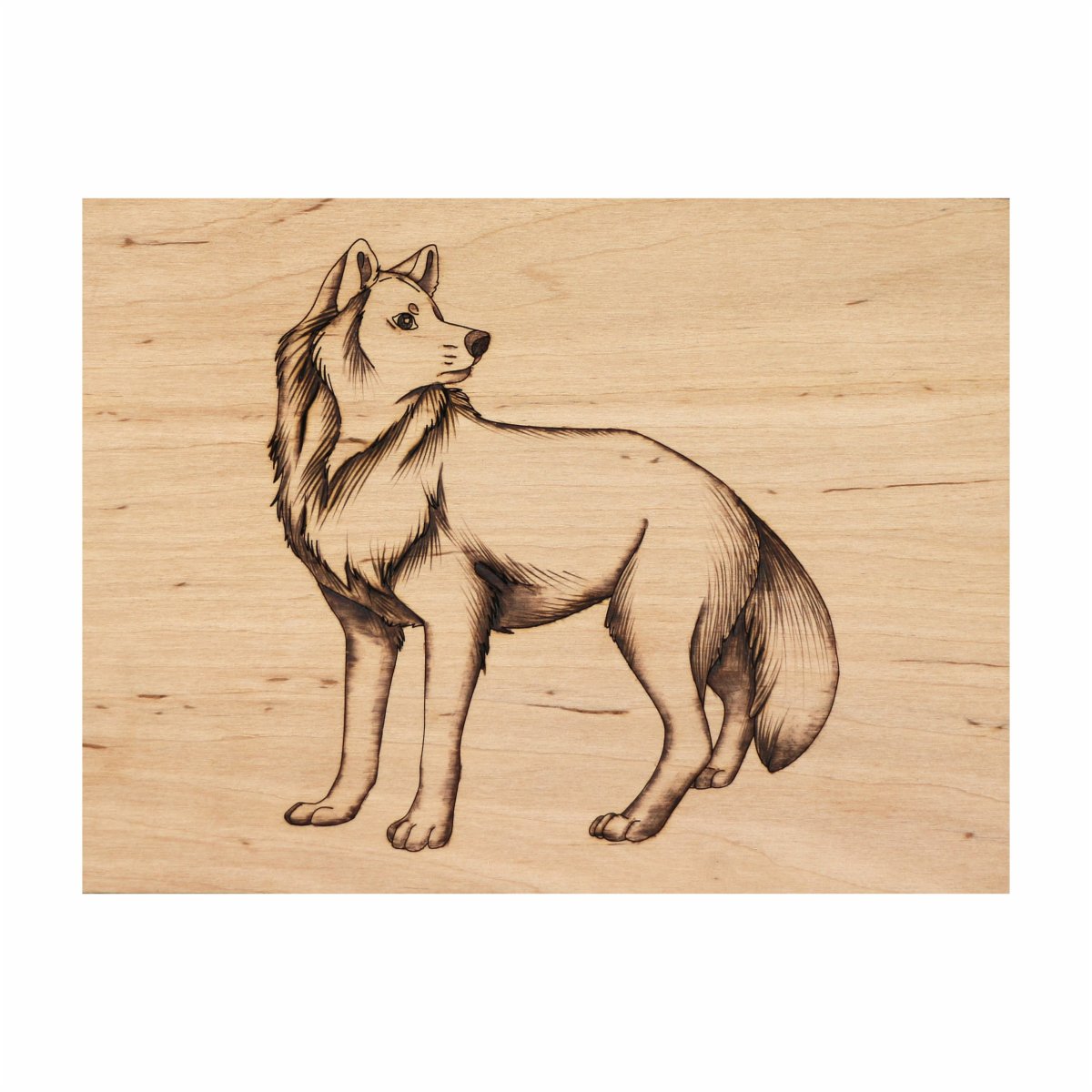 Рисунки для выжигания для начинающих