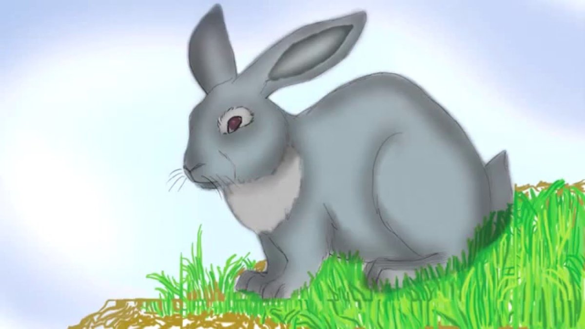 Заяц серый для детей