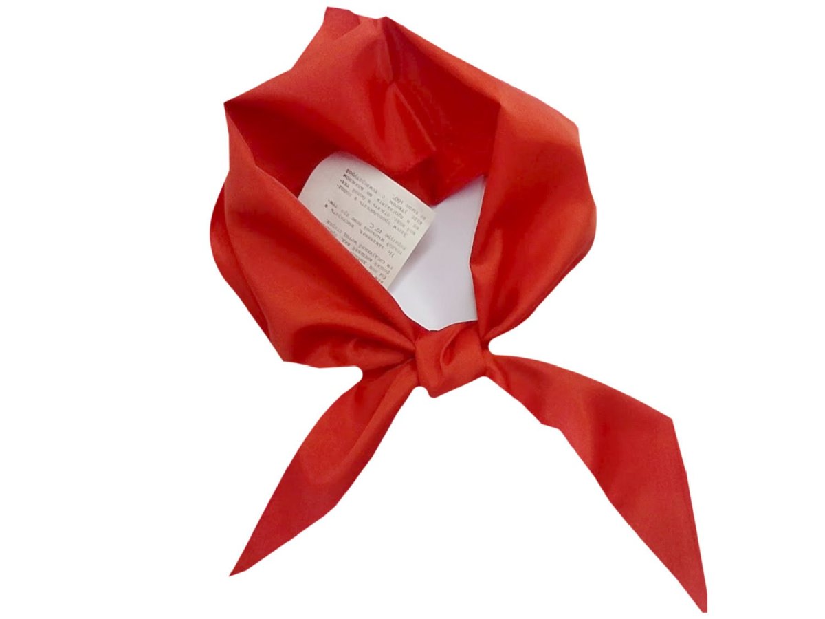 Красный Пионерский галстук