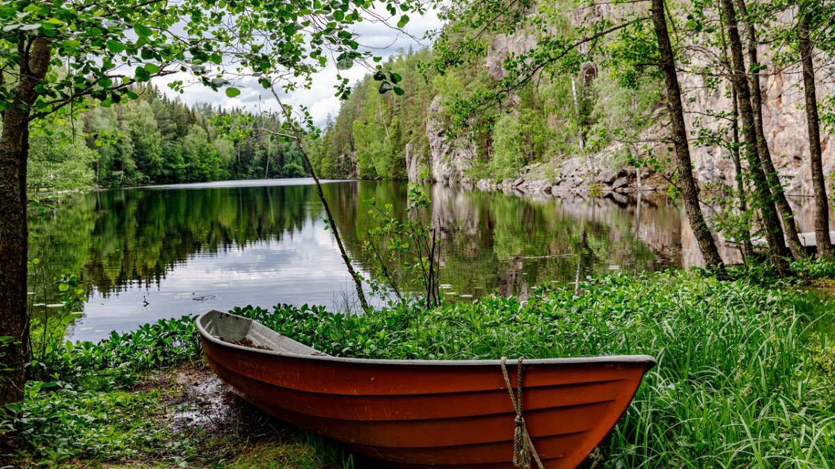 Лес озеро лодка