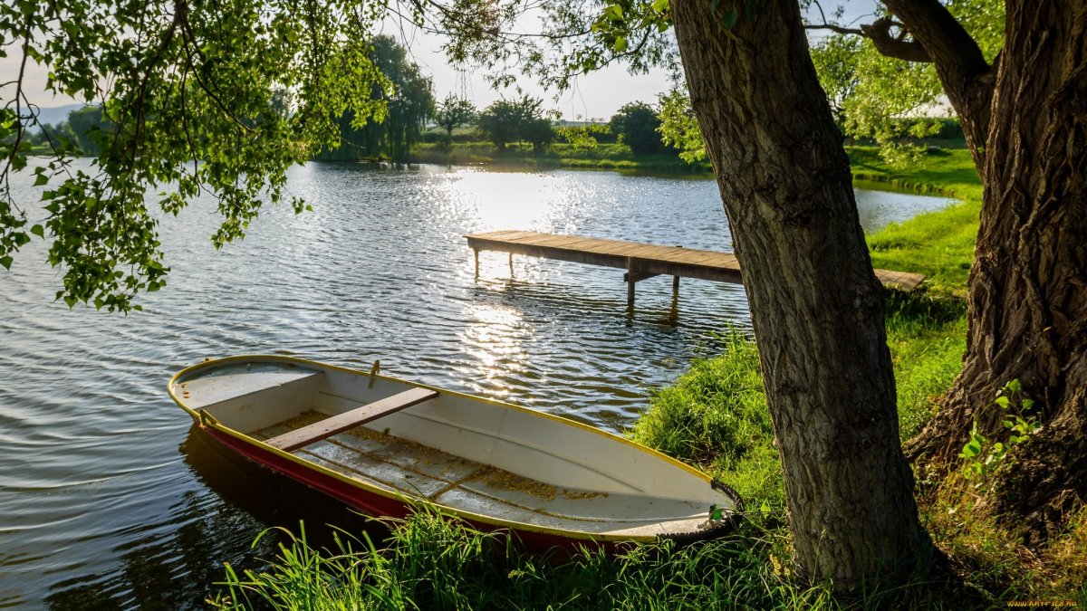 Лес озеро лодка