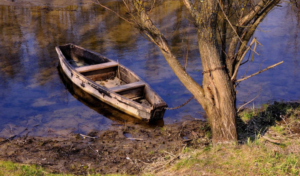 Деревянная ложка в реке