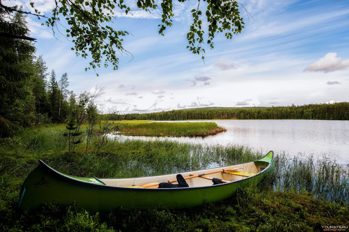 Лес река лодка