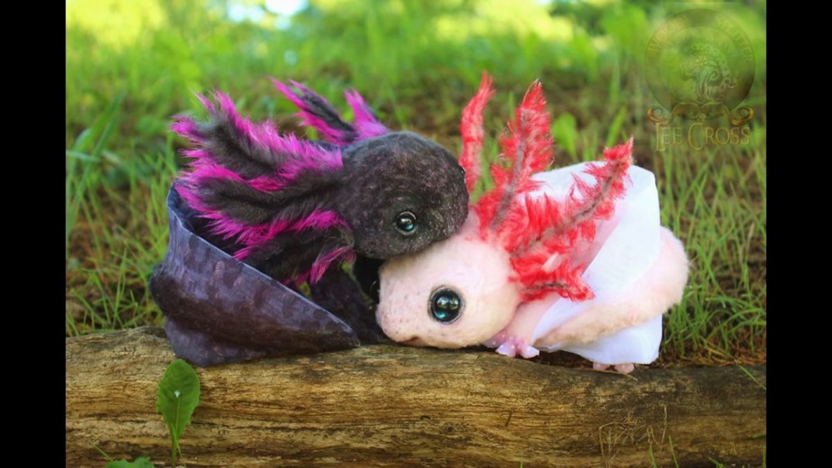 Аксолотль темный