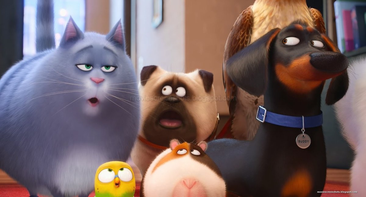 Тайная жизнь домашних животных