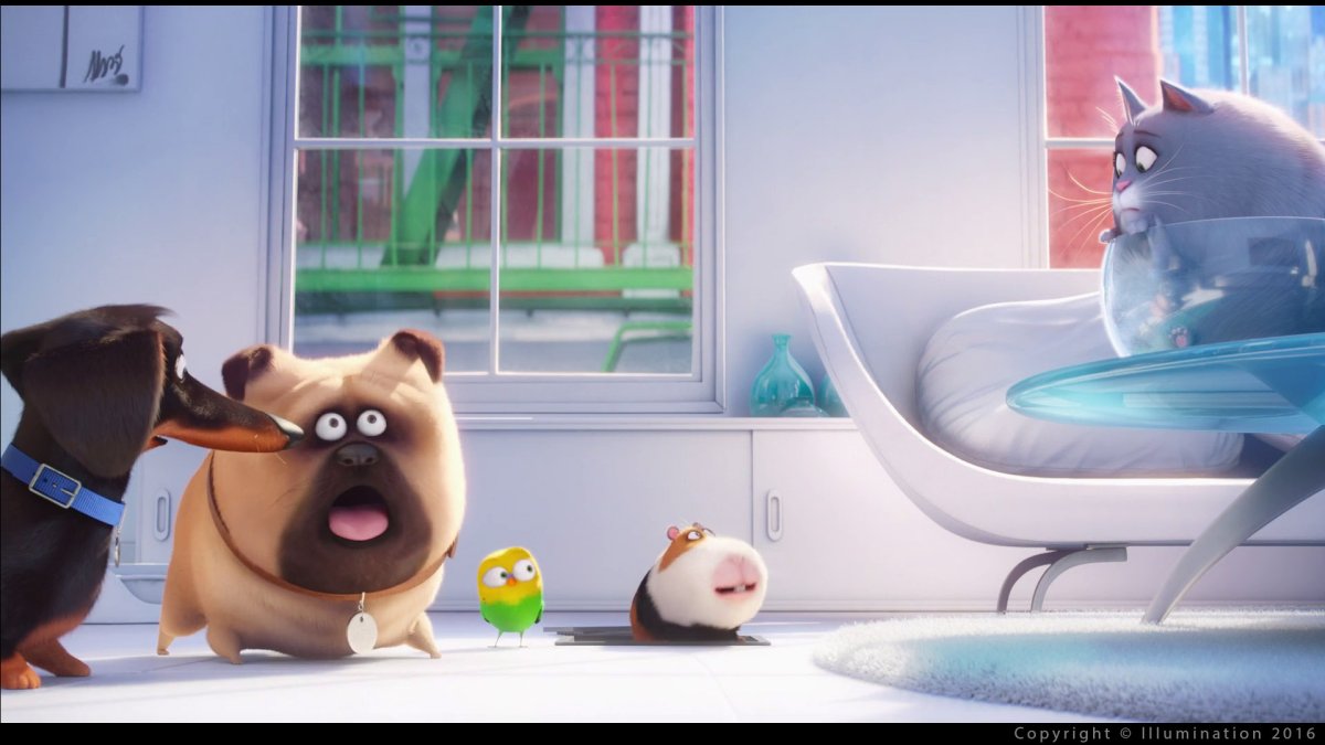 Тайна жизнь домашних животных