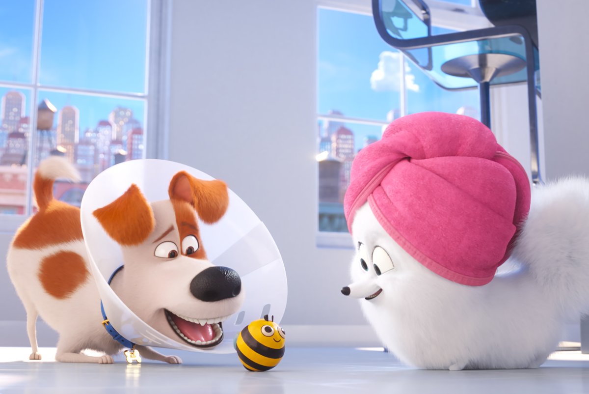 Мультфильм Тайная жизнь домашних животных