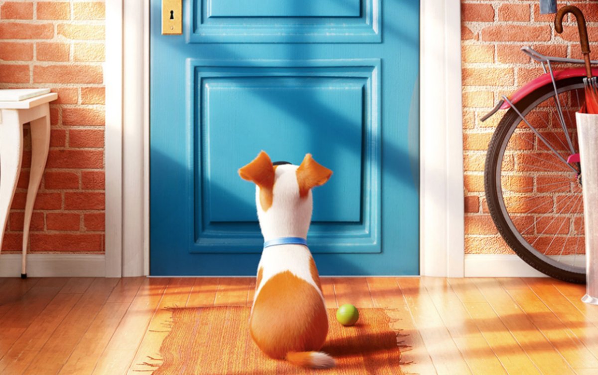 Тайная жизнь домашних животных Гиджет