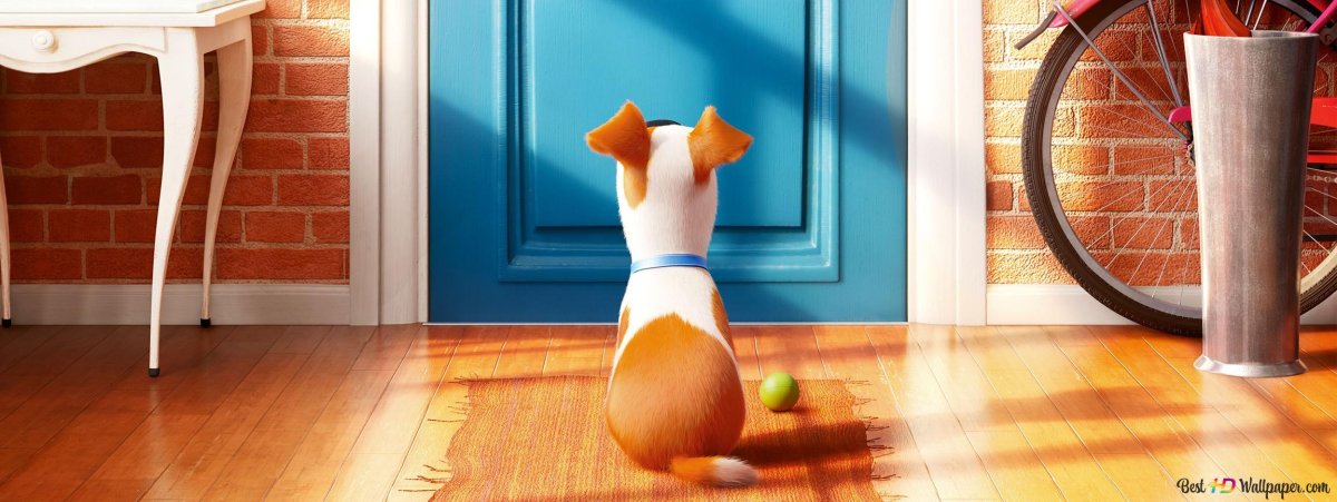 The Secret Life of Pets
