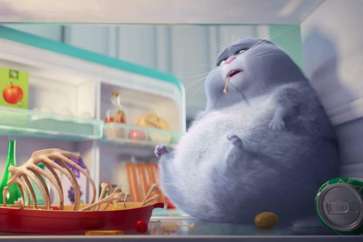 Тайная жизнь домашних животных