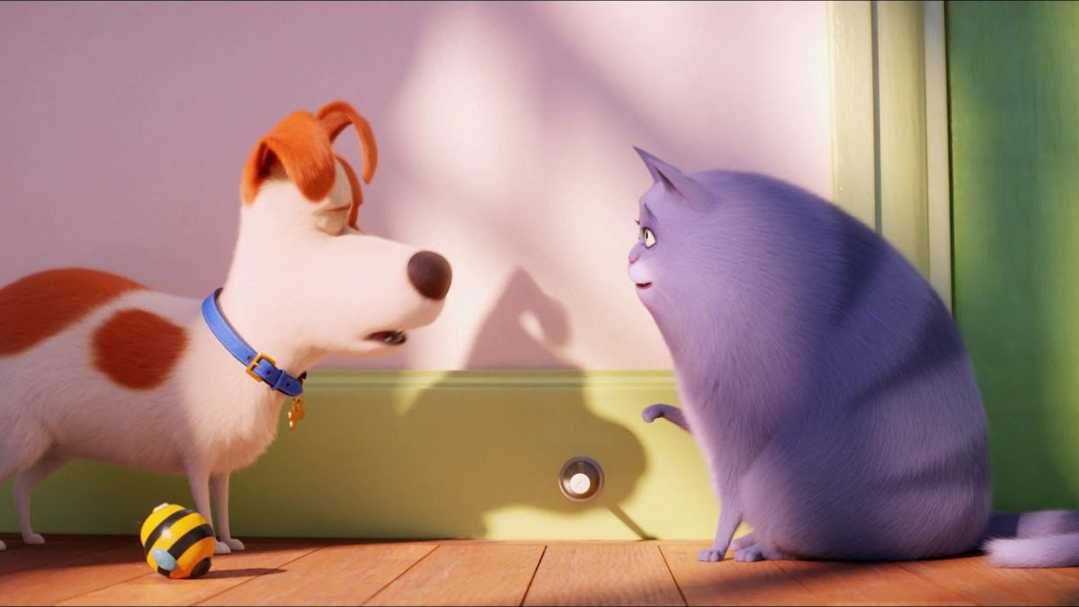 Тайная жизнь домашних животных мультфильм 2016