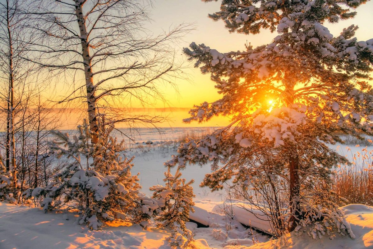 Зимнее утро