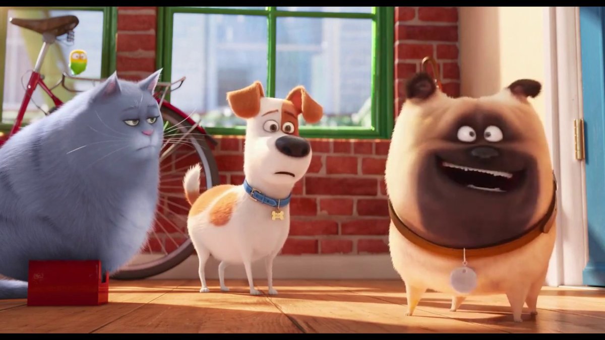 Макс из Тайная жизнь домашних животных