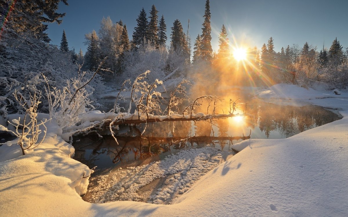 Зимний лес солнце