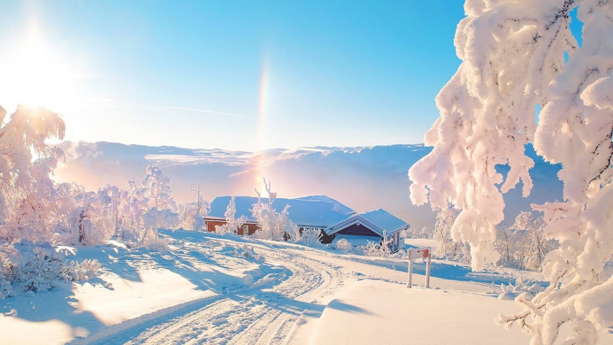 Снежное утро