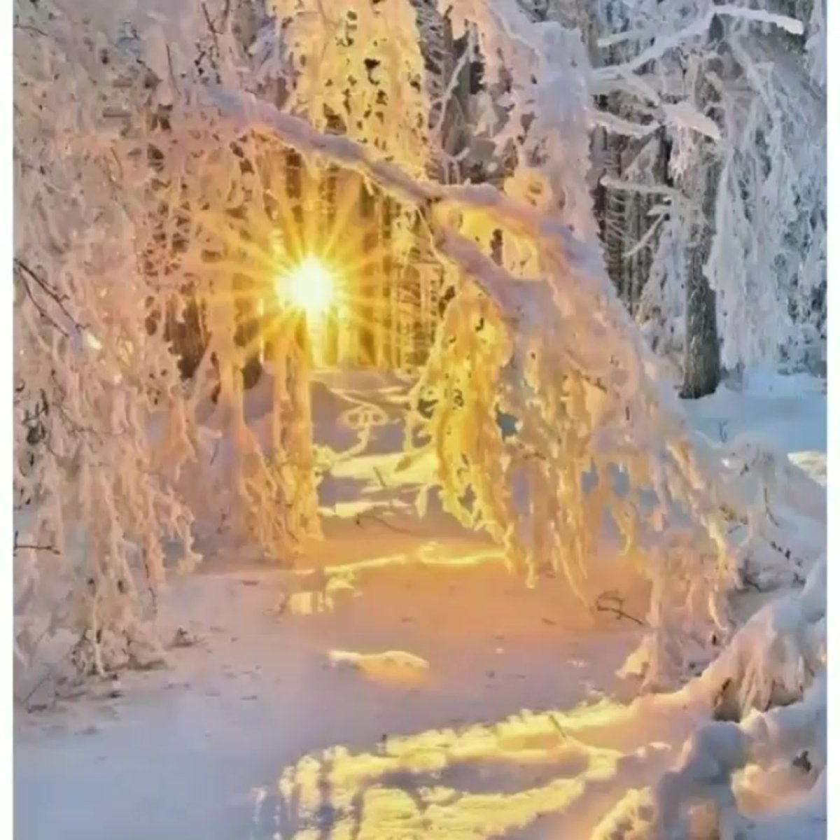 Морозное солнечное утро