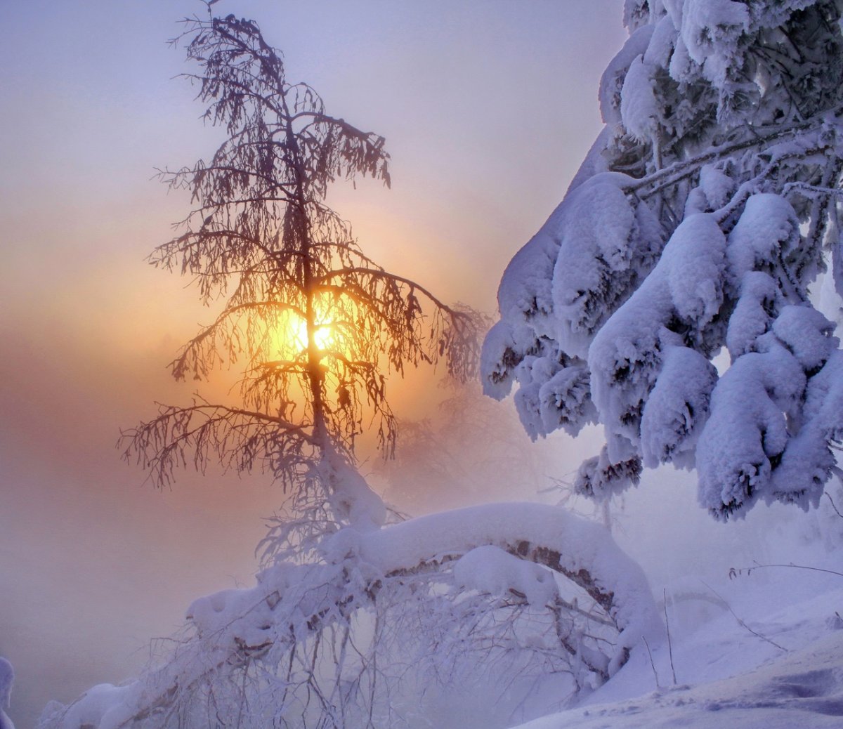 Морозное зимнее утро