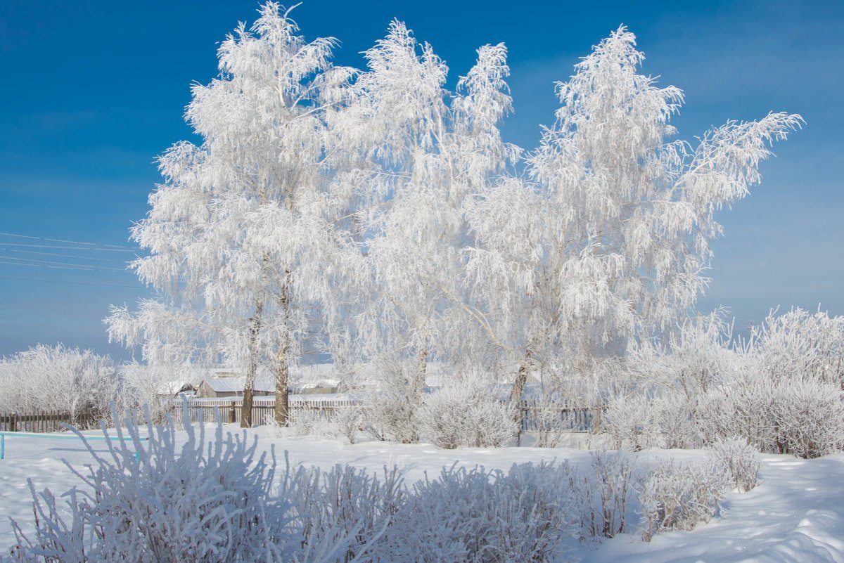 Морозное зимнее утро