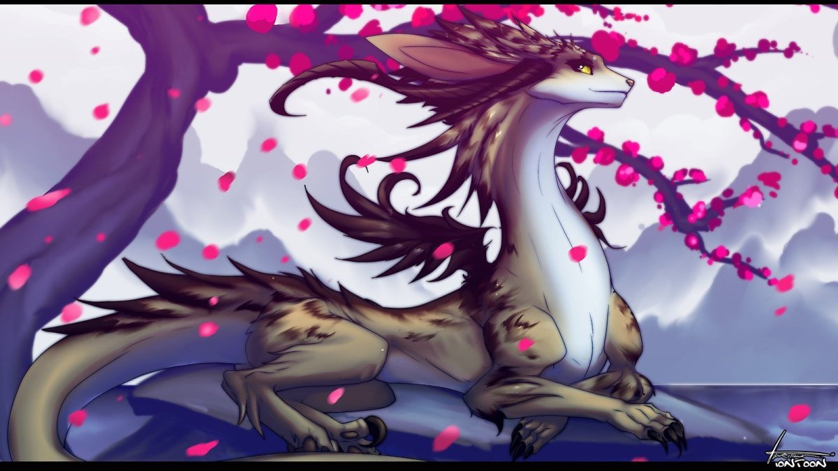 Дитя дракона аниме