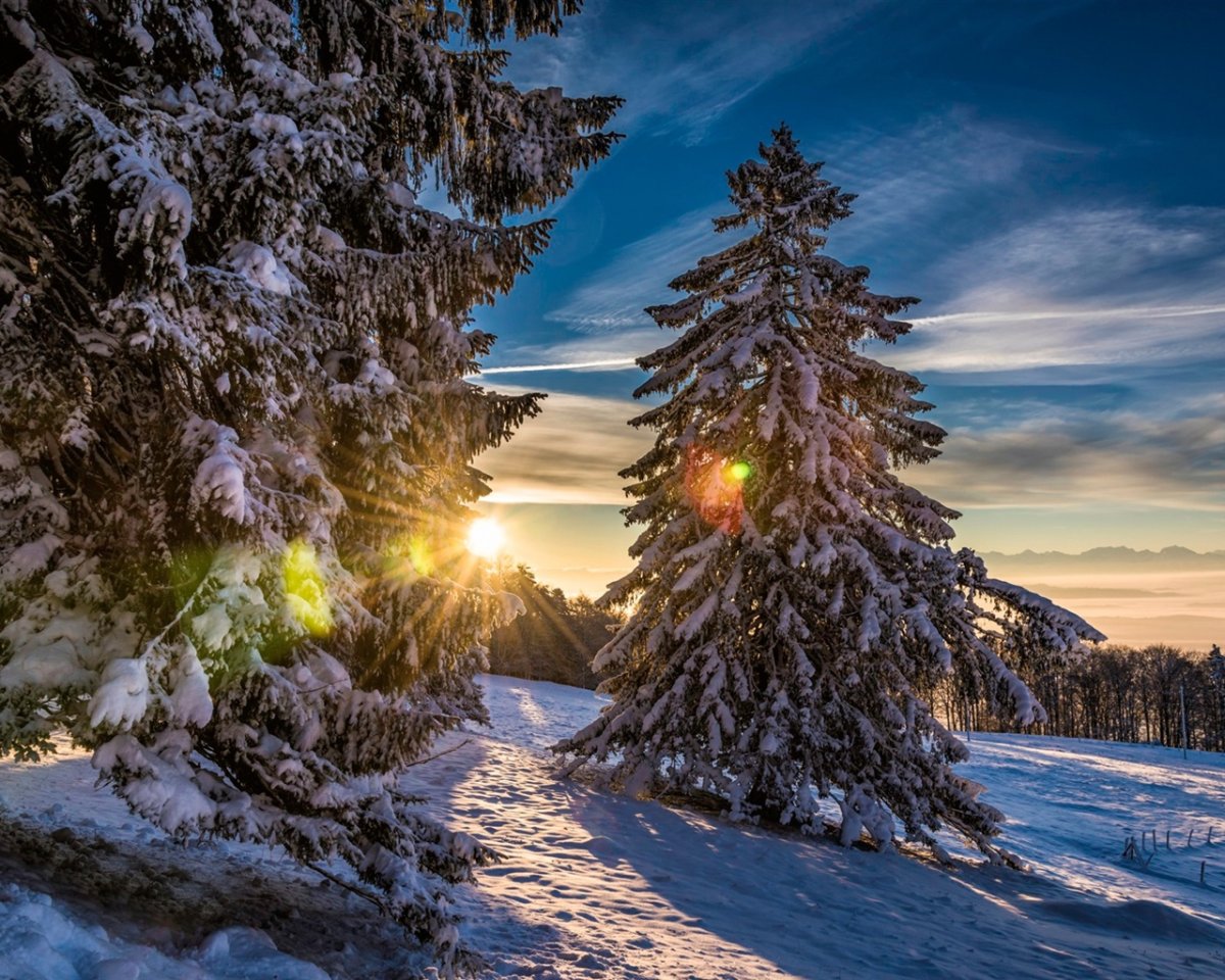 Зимняя природа