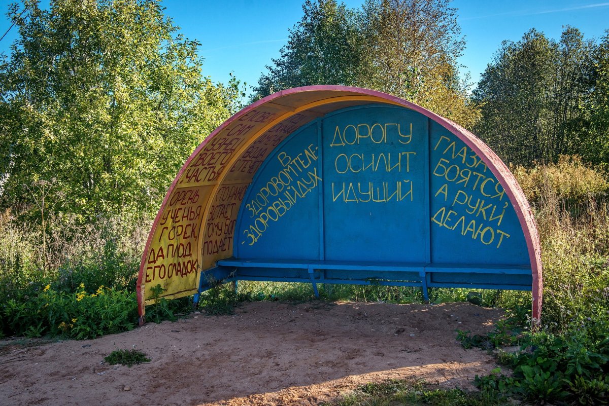 Вологодская область