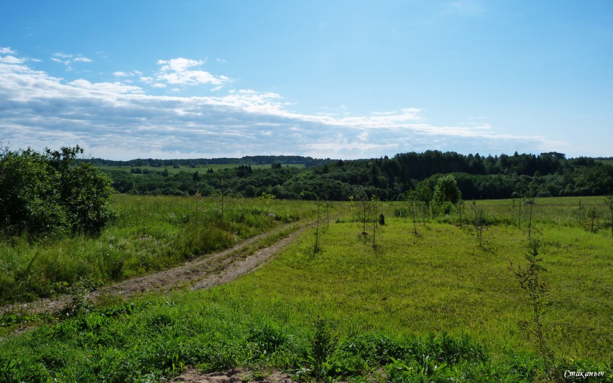 Деревня Семенково Вологодской области осень