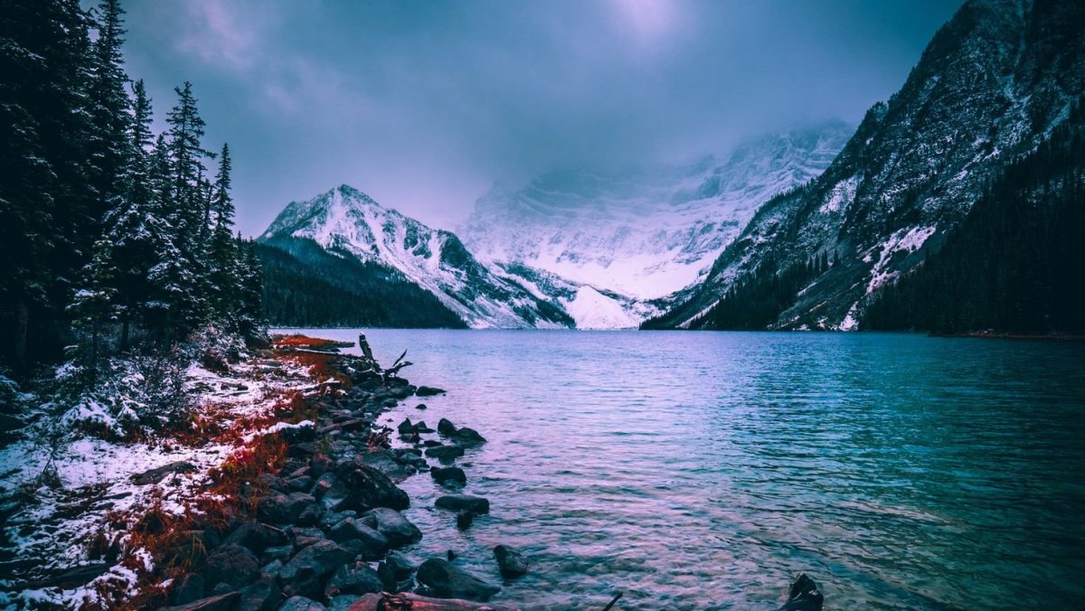 Обои на телефон для девочек